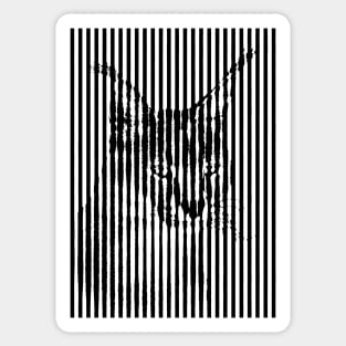 Caracal Wild Cat Anamorphic Illusion Pop Art Sticker